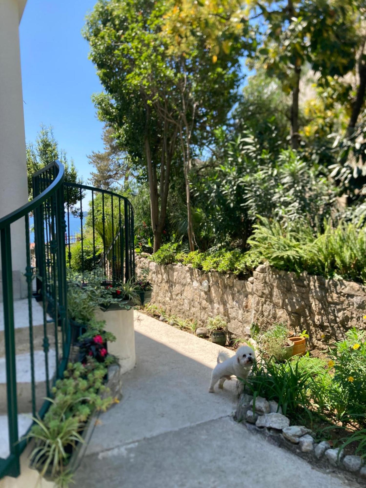 Milicevic Herceg Novi