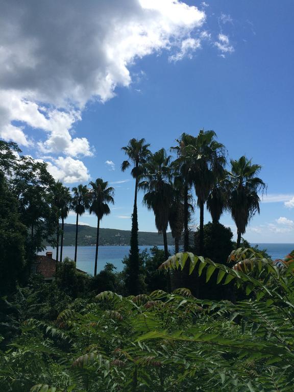 Daire Milicevic Herceg Novi